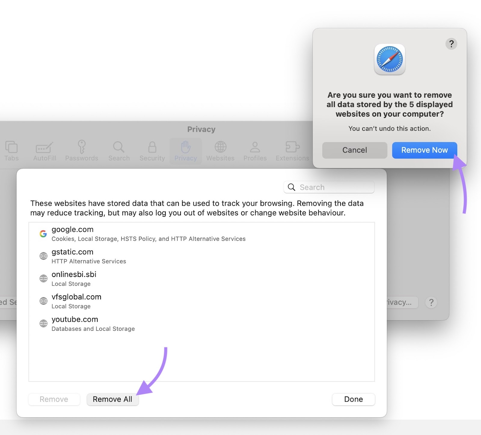 "Manage Website Data" window on Safari with "Remove All" and then "Remove Now" clicked when prompted.