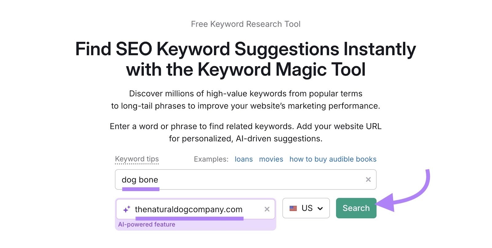 Keyword Magic Tool with "dog bone" entered as the keyword, a domain added, and "Search" clicked.