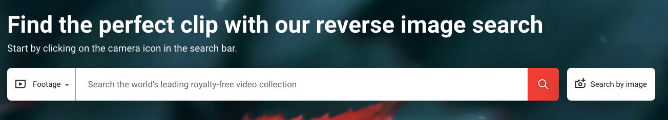 reverse video search