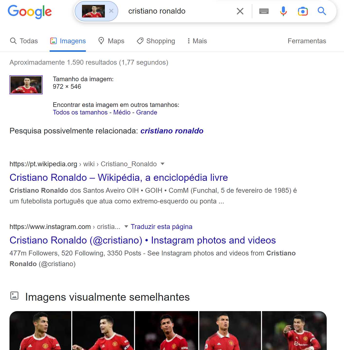 pesquisa reversa de imagens - exemplo de pesquisa por imagem no google