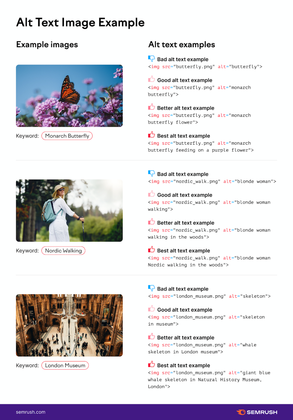 buenos y malos ejemplos de alt text