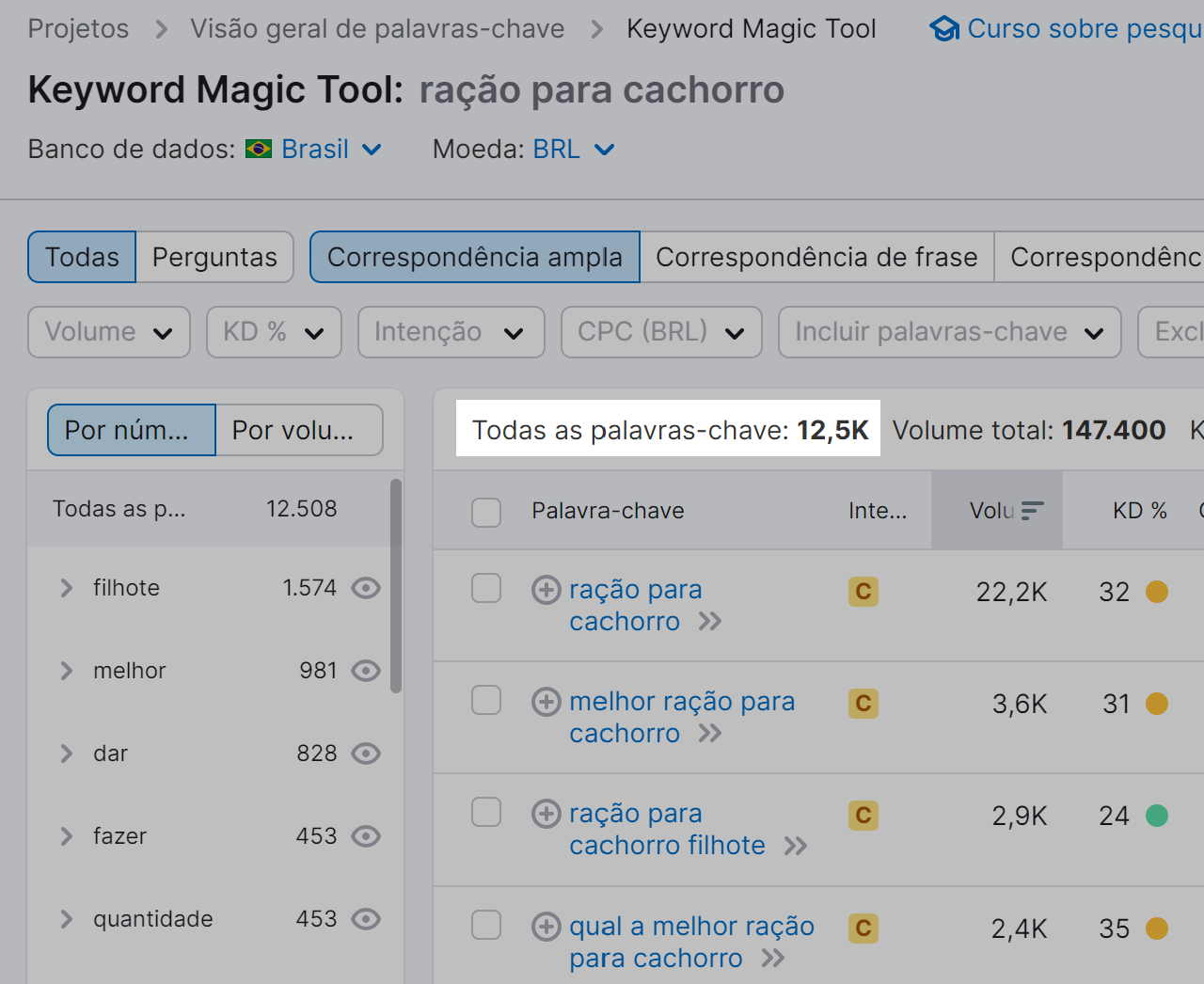 resultado da pesquisa de palavras-chave na ferramenta keyword magic tool
