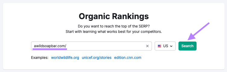 organic rankings report