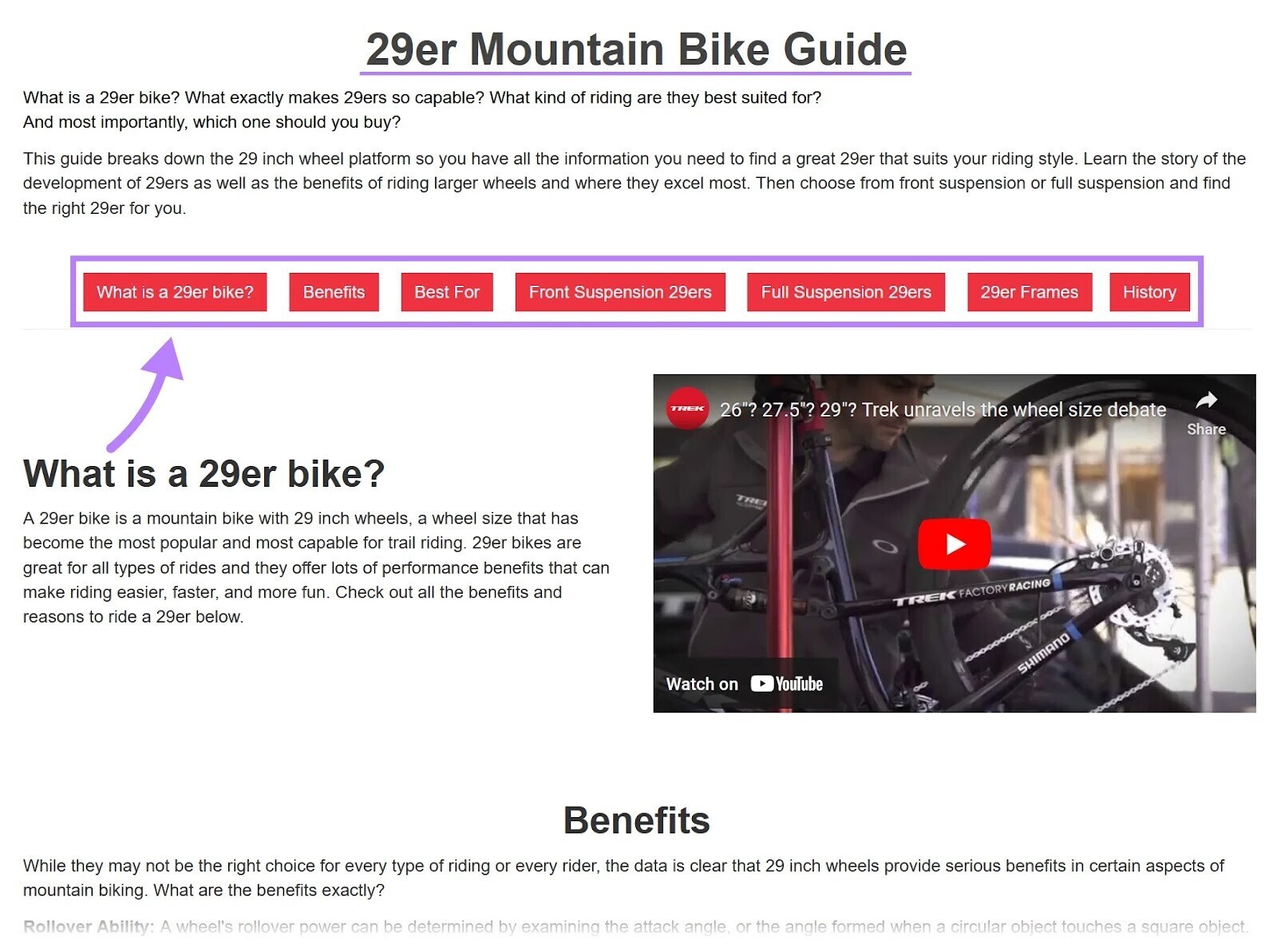 Un articolo intitolato "Guida alle mountain bike 29er".