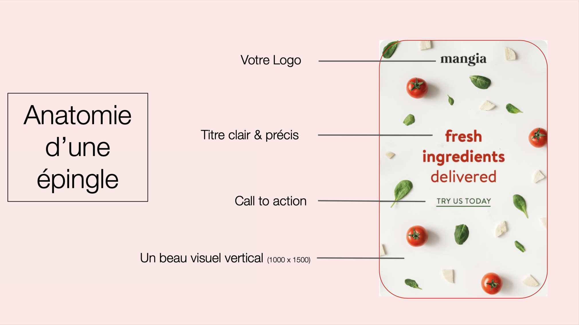 anatomie d'une épingle pinterest