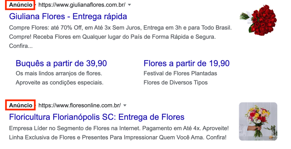 Exemplo de resultado de pesquisa paga