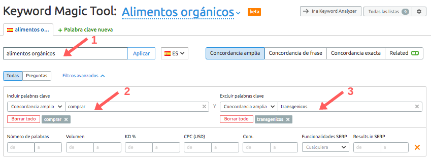 Cómo hacer PPC en PYMEs: con Keyword Magic Tool