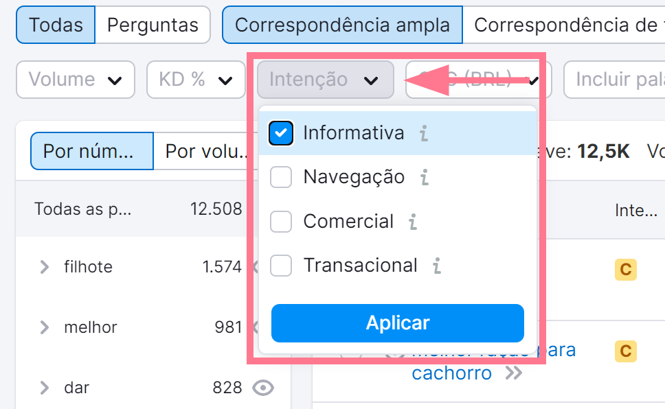 aplicando filtro de intenção de busca de palavra-chave