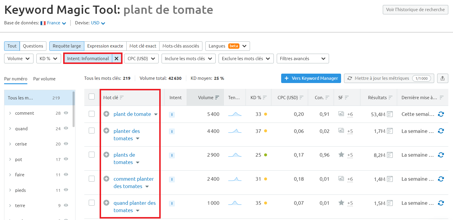 Semrush Keyword Magic Tool plant de tomate informationnel