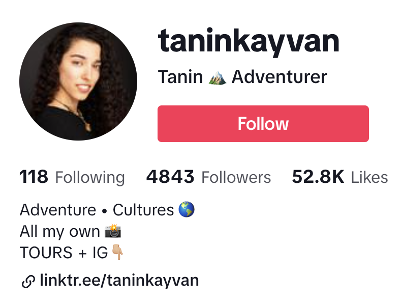 Perfil TikTok de Tanin Kayvan
