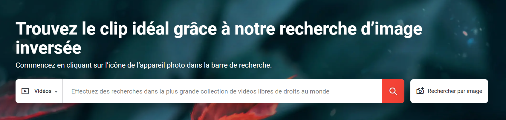 Recherche d’image inversée pour les vidéos, Shutterstock