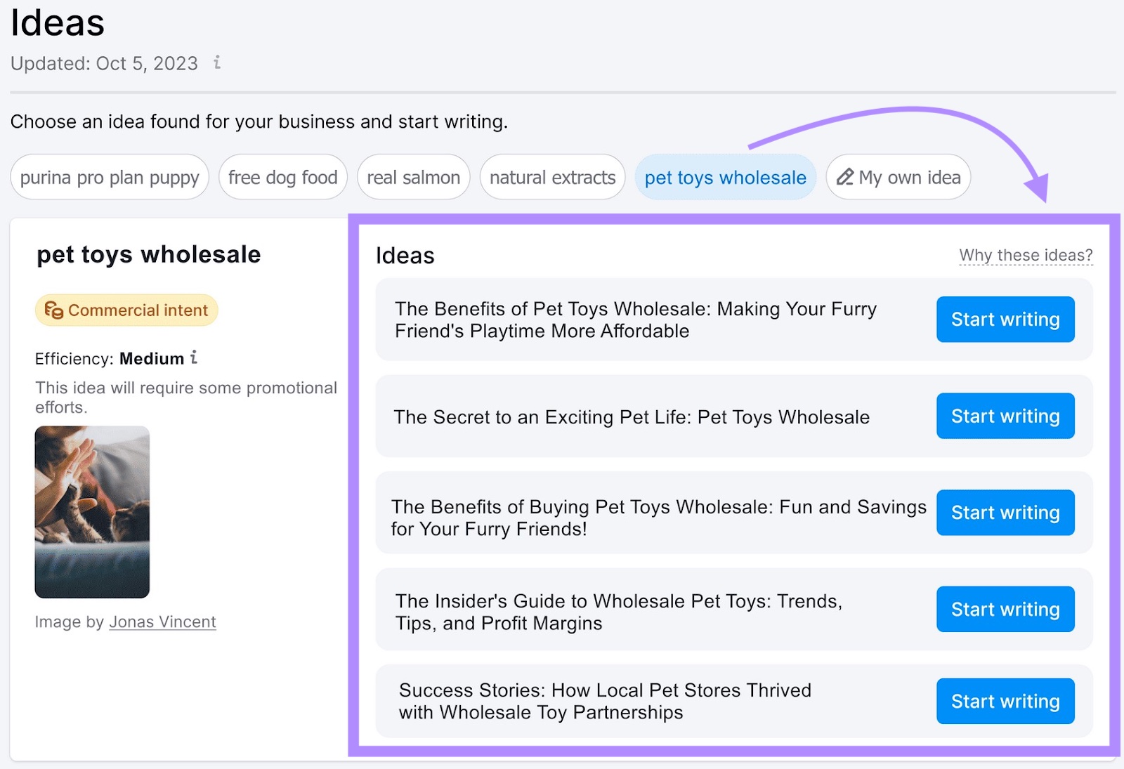 Página "Ideas" en la herramienta ContentShake AI