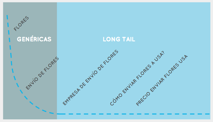 tipos-de-palabras-long-tail