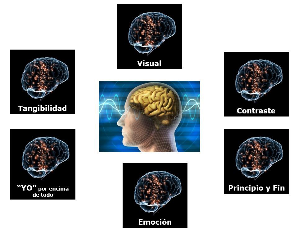 Cómo hacer neuromarketing - 6 estímulos Cerebro reptil