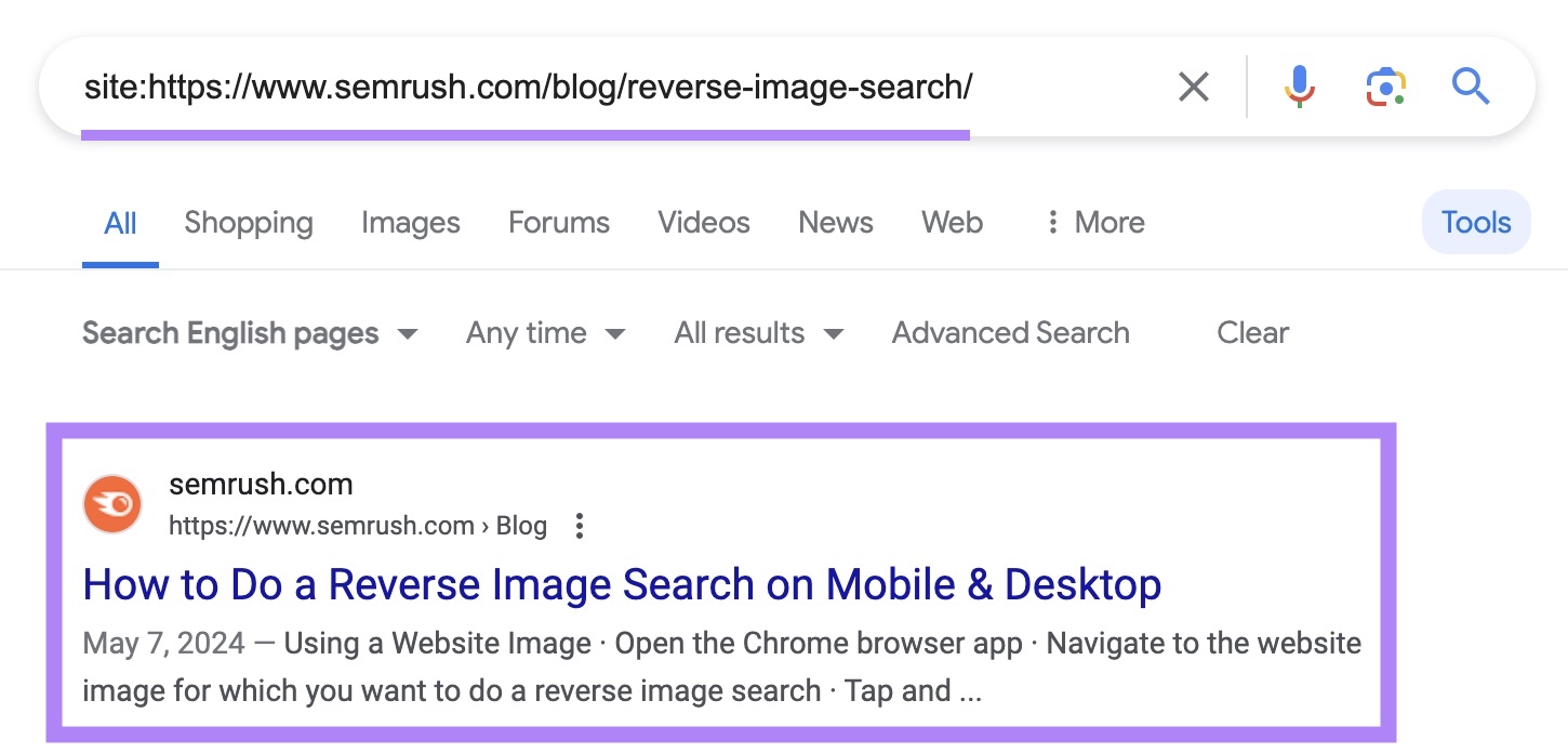 site search on Google for a specific page from "sr01.amztoolslab.com" with the indexed result highlighted