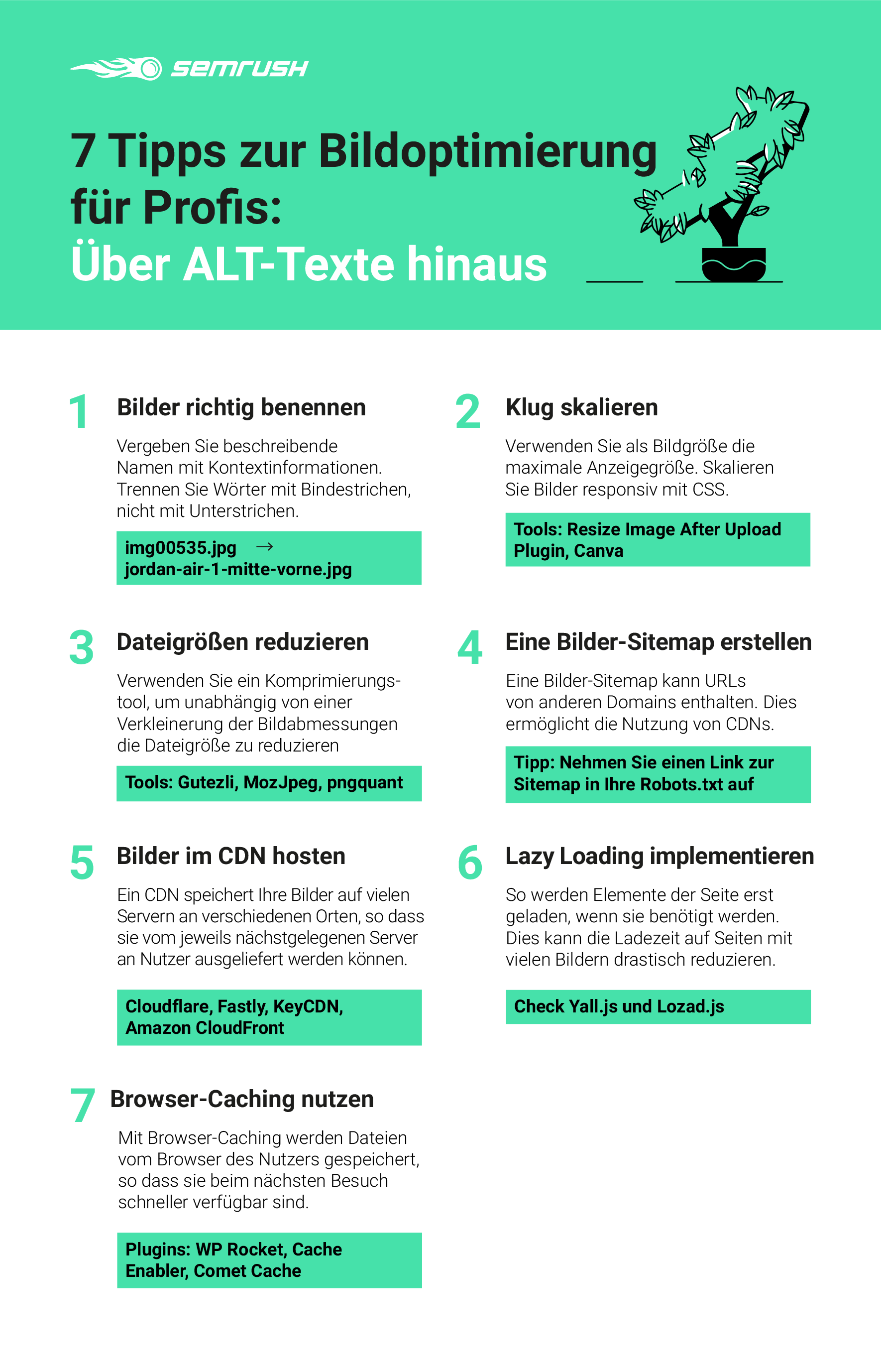 Infografik Bildoptimierung