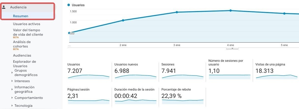 Informe Visión General Google Analytics