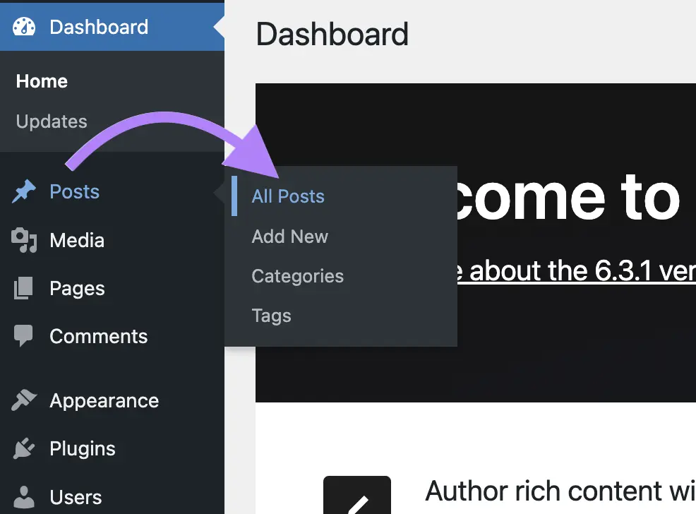 WordPress dashboard with posts menu open.