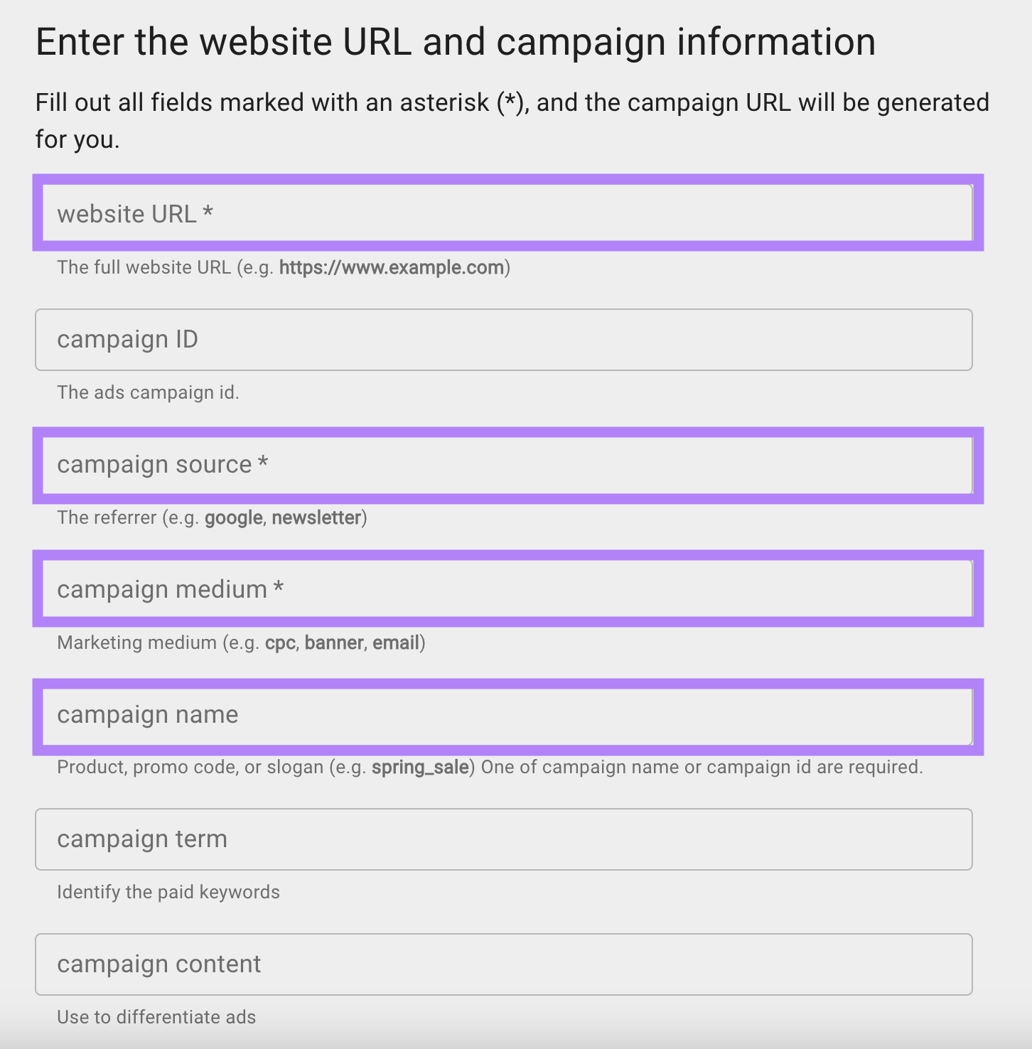 "Página "Introducir la URL del sitio web y la información de la campaña