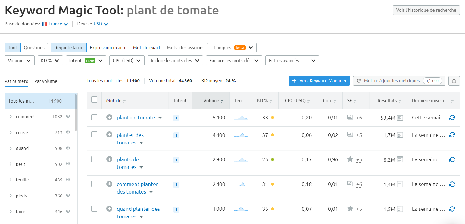 Semrush Keyword Magic Tool plant de tomate