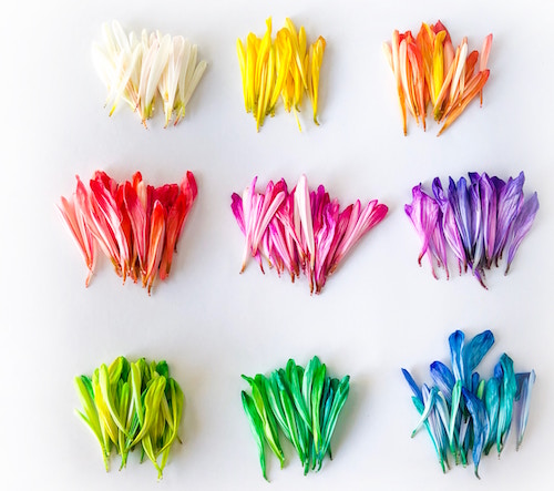 Colori per il web: scelte di web design