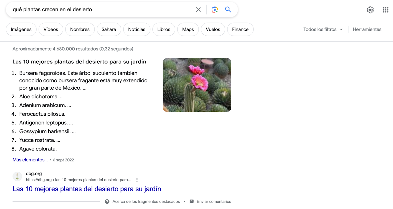 Qué plantas crecen en el desierto