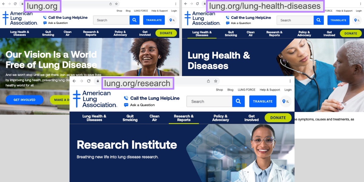 Exemplo de três subdiretórios da American Lung Association