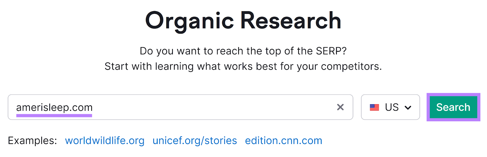 Organic Rankings Tool startet mit eingegebener Domäne und hervorgehobener Suchschaltfläche