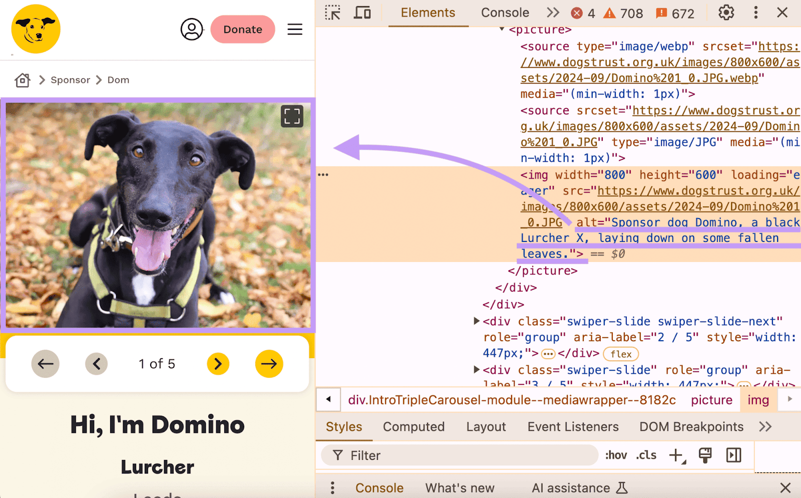 Alt-Text, der im Code einer Seite für ein Hundebild gefunden wurde: "Patenhund Domino, ein schwarzer Lurcher X, legt sich auf ein paar gefallene Blätter."