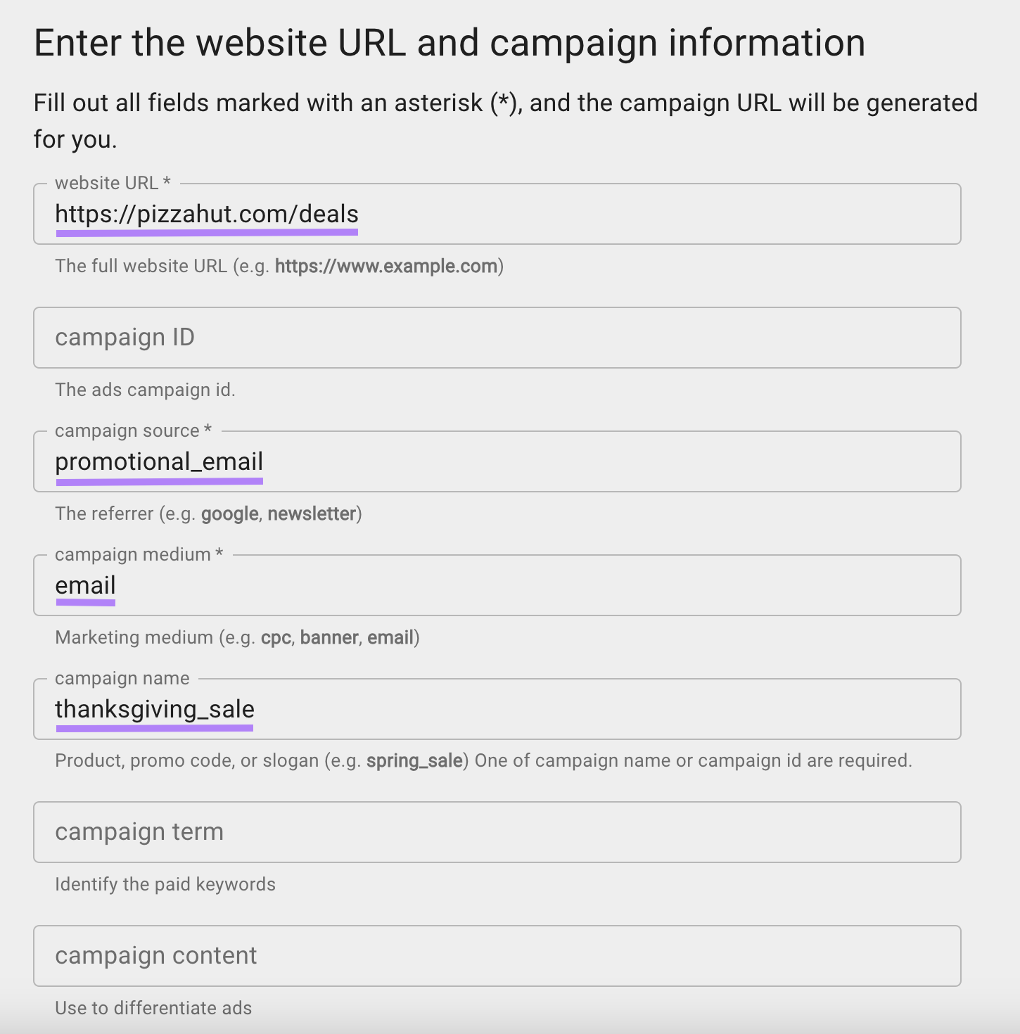 Página "Introducir la URL del sitio web y la información de la campaña" con la información cumplimentada