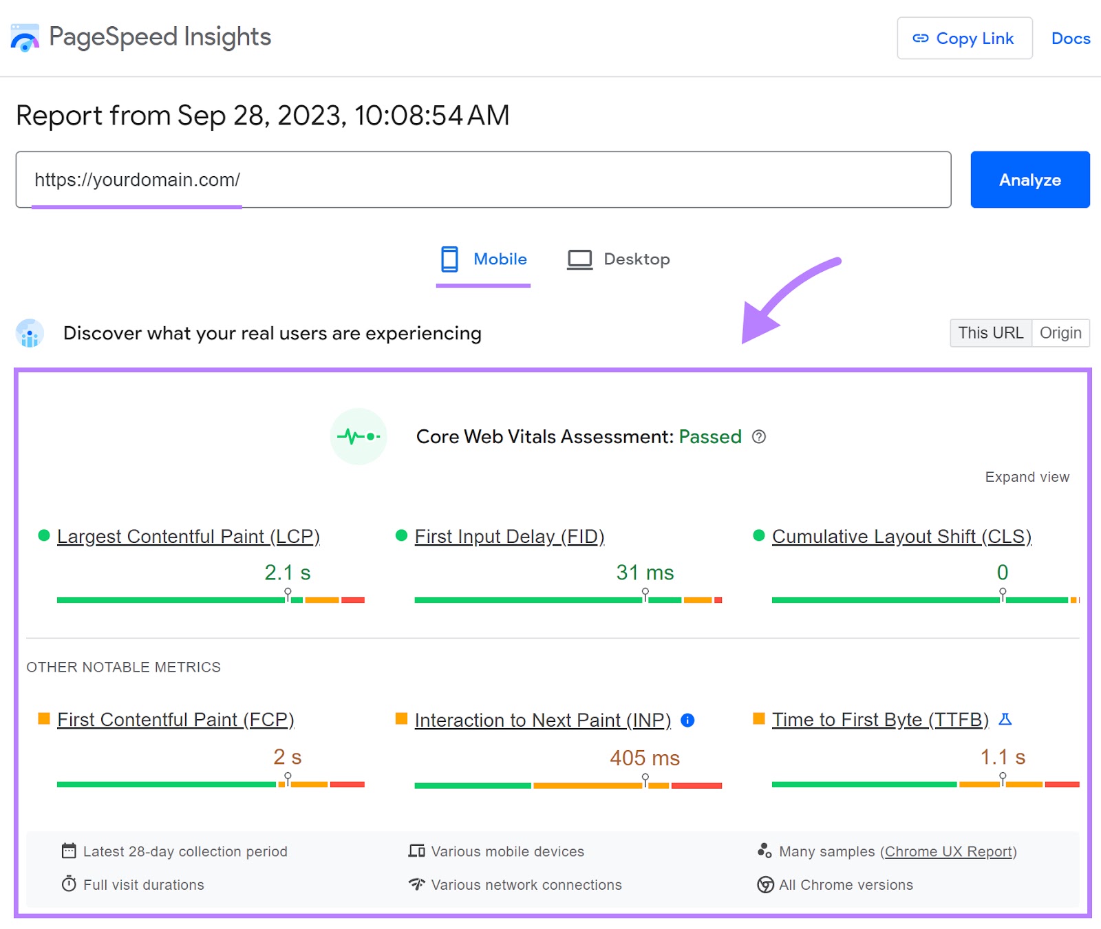 PageSpeed InsightsのCore Web Vitals評価レポート