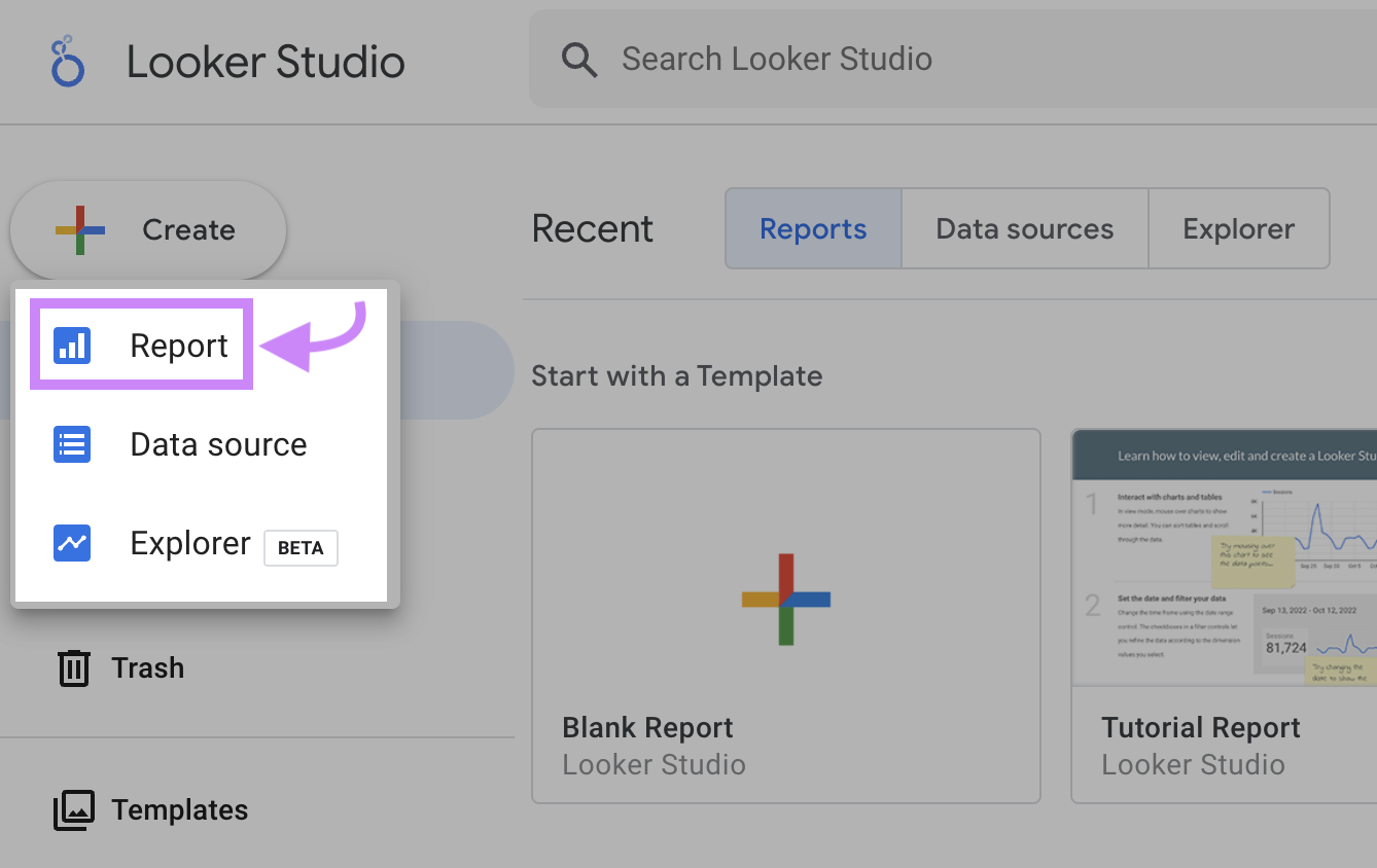 Botão "Denunciar" destacado no menu da página inicial