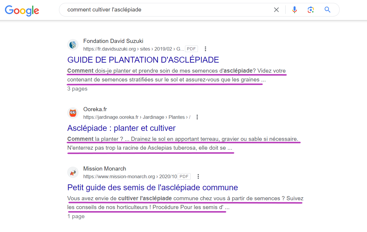 Exemples de meta descriptions engageantes