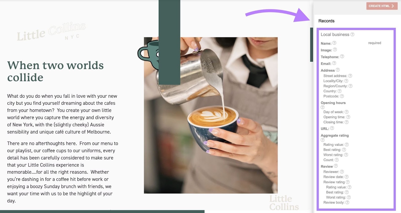 The "Records” panel appearing on the right-hand side of Structured Data Markup Helper highlighted.