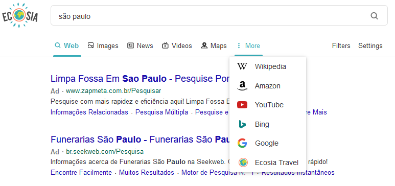 opções de busca no ecosia