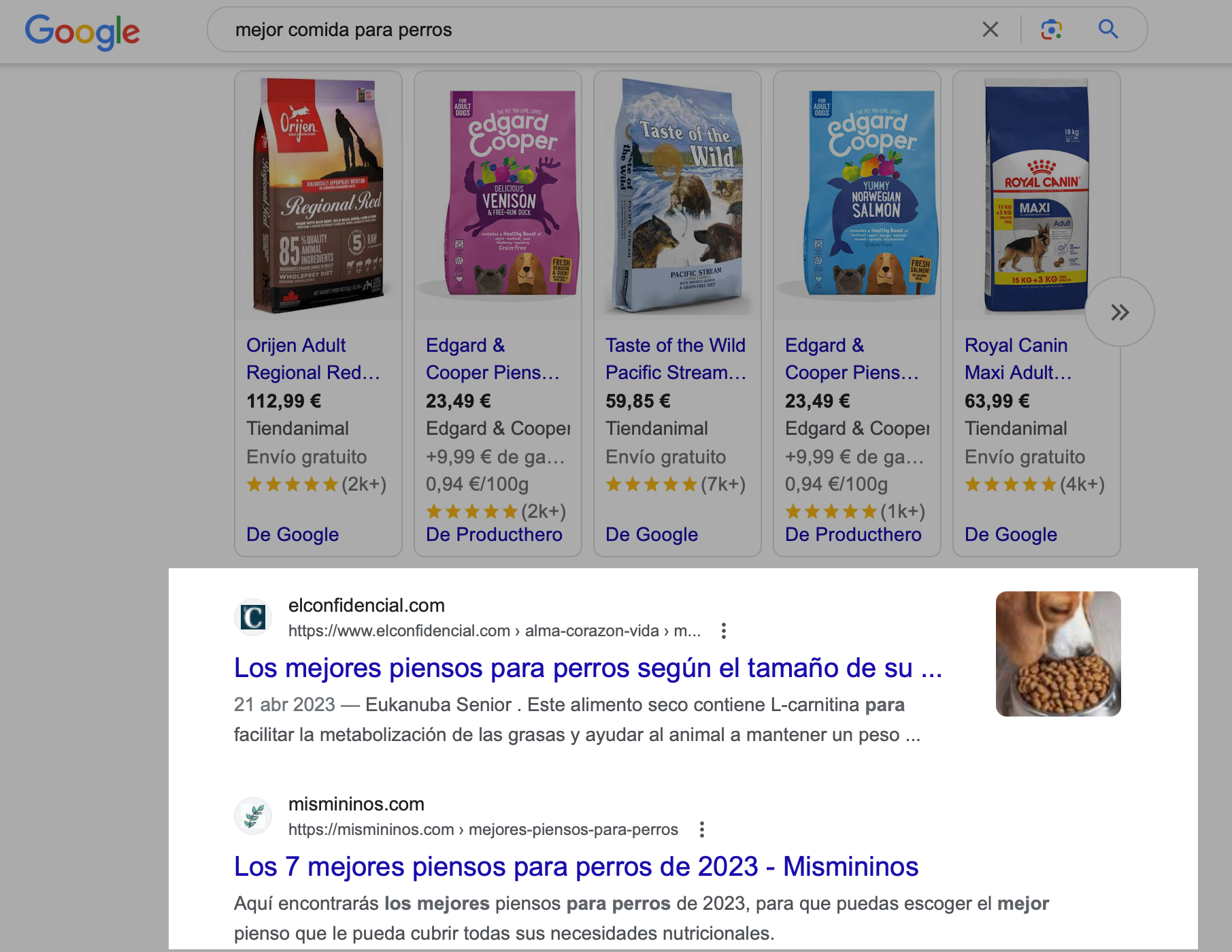 Ejemplo de resultado de Google sobre comida para perros